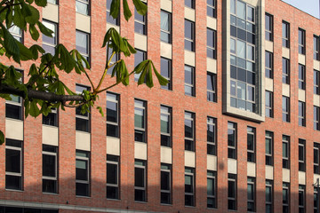 Soud ve Wroclawi z cihly Canberra hladká