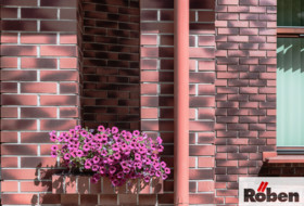 rajgrod6 